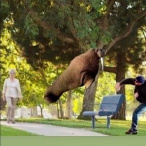 Meet your Posher, Abel